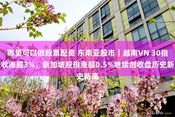 哪里可以做股票配资 东南亚股市｜越南VN 30指数收涨超3%