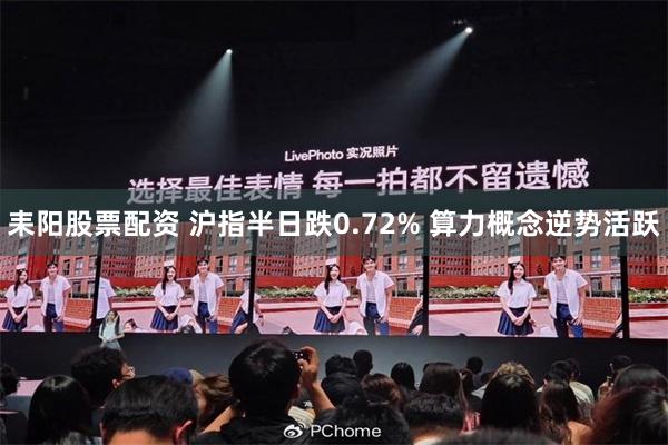 耒阳股票配资 沪指半日跌0.72% 算力概念逆势活跃