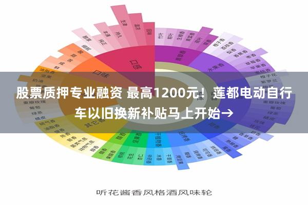 股票质押专业融资 最高1200元！莲都电动自行车以旧换新补贴